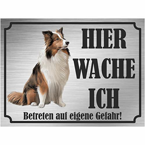 INDIGOS UG - Shetland Schäferhund - Schild bedruckt - Hier wache ich - Aluverbundplatte Edelstahl Look - ab 20x15 cm - Spruch - Deko Geschenkidee für Ihren Hund - Zaun - Türschild