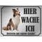INDIGOS UG - Shetland Schäferhund - Schild bedruckt - Hier wache ich - Aluverbundplatte Edelstahl Look - ab 20x15 cm - Spruch - Deko Geschenkidee für Ihren Hund - Zaun - Türschild
