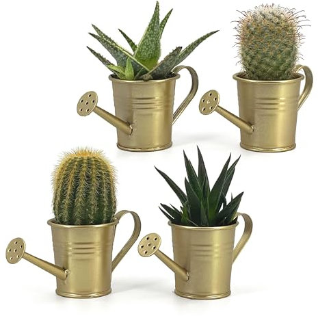 Vimin Box Set 4 pcs, Mini Annaffiatoio, Vaso Decorativo, per Piante Grasse, Piccoli Fiori, Decorazione Casa, Giardino, Balcone