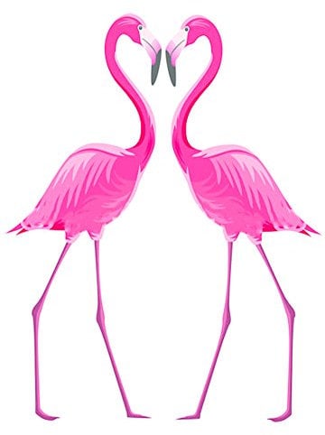 Sticker mural Flamants Roses 48x68cm - Décoration murale autocollant, 48x68cm