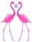 Sticker mural Flamants Roses 48x68cm - Décoration murale autocollant, 48x68cm
