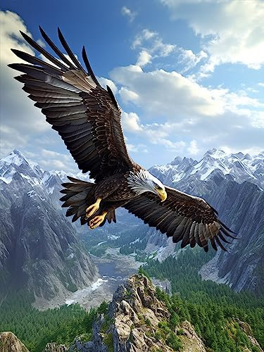 Bimkole DIY 5D Diamond Painting Zubehör Adlerhimmel, Tier Diamant Malerei Kit Voll Runde Bohrer Malen nach Zahlen Malerei Stickerei Kreuzstich Diamond Dekoration 30X40cm