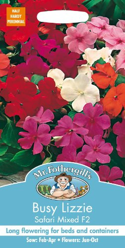 Mr Fothergill's 12592 Flower Seeds, Busy Lizzie Safari Mixed F2