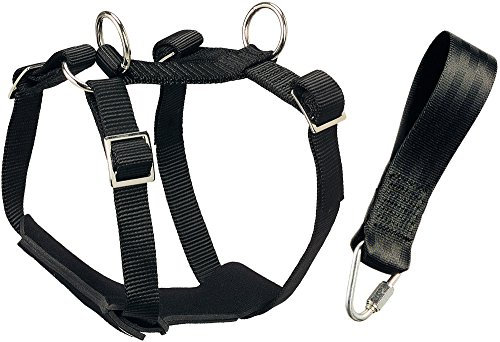 HUNTER Autosicherheitsgeschirr BodyGuard Classic, S