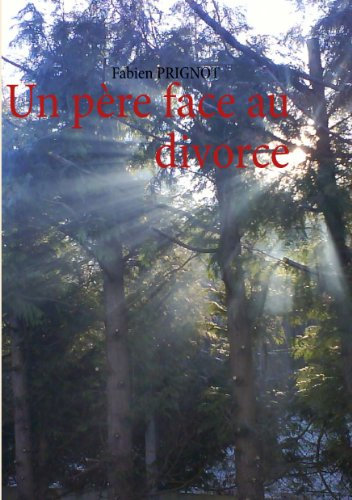 Un père face au divorce (French Edition)