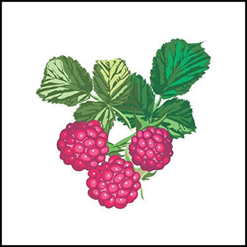 INDIGOS UG Fliesenaufkleber Fliesentattoos für Bad & Küche - Fliesenspiegel - Küchenfliesen für einzelne Fliesen 10x10 cm - MF672 - Obst Silik