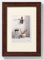Walther Design Walther Cadre Photo Design Noyer 40 x 50 cm avec Passe-Partout, Home Cadre en Bois HO050N
