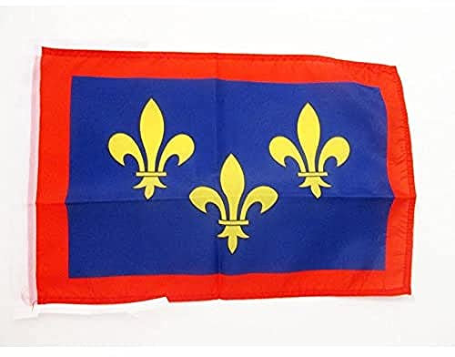 AZ FLAG - Drapeau Province d'Anjou - 45x30 cm - Pavillon Angers - France 100% Polyester Avec Deux Cordelettes - 20g
