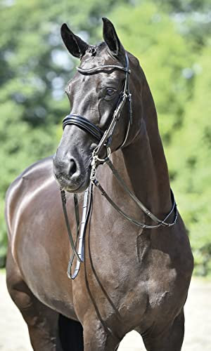 Busse