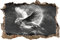 Stil.Zeit Wolf mit Flügeln Kunst Kohle Effekt Wanddurchbruch im 3D-Look, Wand- oder Türaufkleber Format: 62x42cm, Wandsticker, Wandtattoo, Wanddekoration