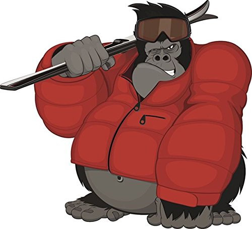 Ski-Fahrer Aufkleber Sticker Sport Gorilla Wintersport Fun Autoaufkleber Hobby Alpin-Ski Abfahrt Abfahrtslauf Ski-Cross Halfpipe