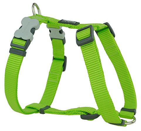 Red Dingo Nylon Hundegeschirr, hellgrün, XS (DH-ZZ-LG-12)