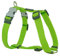 Red Dingo Nylon Hundegeschirr, hellgrün, XS (DH-ZZ-LG-12)