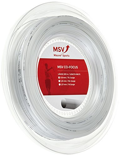MSV Saitenrolle CO Focus