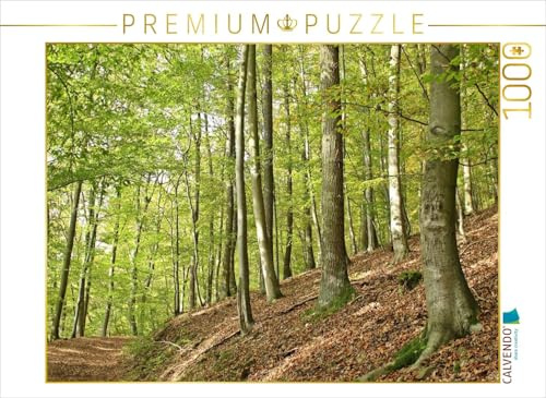 CALVENDO Puzzle Rotbuche mit Gesicht am Knorreichenstieg | 1000 Teile Lege-Größe 64 x 48 cm Foto-Puzzle für glückliche Stunden