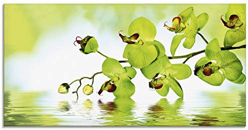 ARTland Wanddeko Glasbilder Wandbild Glas Bild einteilig 100x50 cm Querformat Natur Blumen Blüten Orchideen Botanik Floral T5OW