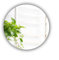 Circle Bathroom Mirror Lightweight Frameless Mirror (40cm)