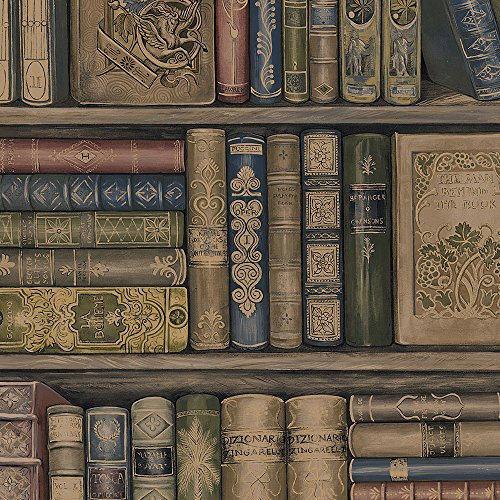 Galerie Illusions Feature Wallpaper Bookcase Effect Browns LL29570