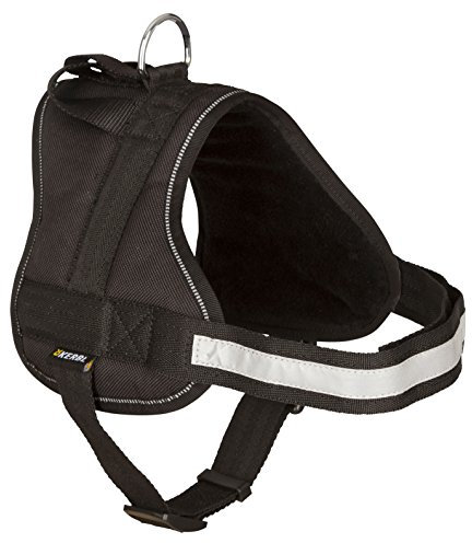 Kerbl 81069 Geschirr Maestro 1.0 mit Adresstube, 25 MMX 55-70 cm schwarz