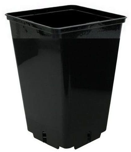 NBGRLVS Black Square Growing Pot for Plants CEP - 16x16x23,5cm (4L)