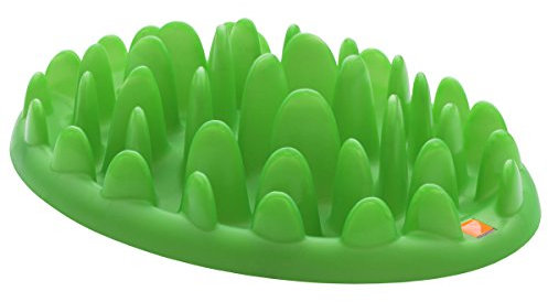 FLAMINGO Gamelle Anti-glouton Northmate Green Vert Clair