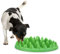 FLAMINGO Gamelle Anti-glouton Northmate Green Vert Clair