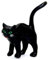 Melody Jane Puppenhaus Miniatur Tier Halloween Zubehör Schwarz Katze Stehend