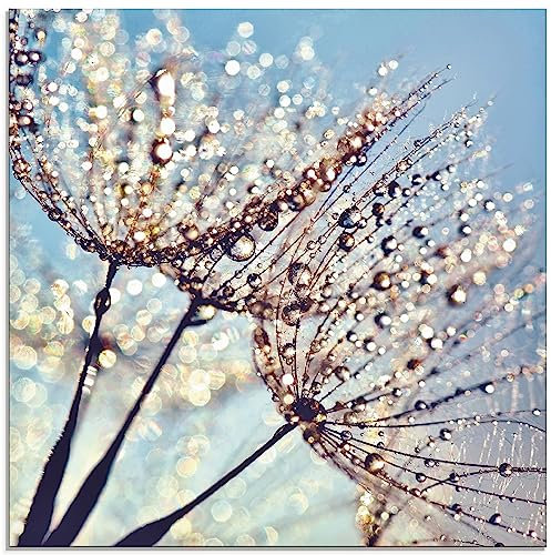 ARTland Wanddeko Glasbilder Wandbild Glas Bild einteilig 50 x 50 cm Quadratisch Innere Ruhe Wellness Pflanzen Blumen Pusteblume Wasser Regen Tau Sonnenfänger S9LQ