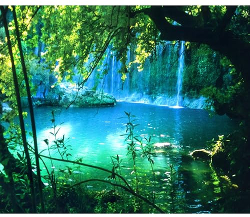 decomonkey Fototapete Wasserfall 350x256 cm XXL Design Tapete Fototapeten Vlies Tapeten Vliestapete Wandtapete moderne Wand Schlafzimmer Wohnzimmer Natur Wald