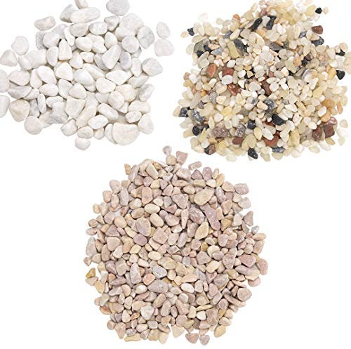 Koyal Großhandel DIY Terrarium Kit Kit 1