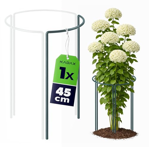 KADAX Staudenstütze 45 cm Höhe, Pflanzenstütze aus pulverbeschichtetem Stahl, Hortensienstütze, Rankhilfe für Stauden, Strauchstütze (1/3 Rund)