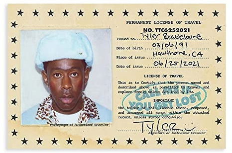 Hip Hop Tyler, The Creator Call Me If You Get Lost, Leinwand-Poster, Wandkunst, Dekor, Bild, Gemälde für Wohnzimmer, Schlafzimmer, Dekoration, ungerahmt, 30 x 45 cm