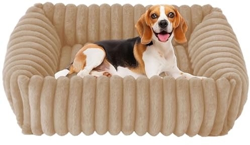 CIGAA Hundebett für kleine und mittelgroße, 50x48x15cm Waschbares Hundekorb rutschfest Hunde bettchen mit Hohem Rand, Beige