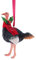 Christbaumschmuck Weihnachtsdeko Tannenbaumschmuck X-Mas Hänger Lustig (Strauss mit Schal)