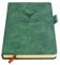 Earning Power Notizbuch A5 liniert,Hardcover Tagebuch Mit 360 Seiten Und 80gsm Premium-Papier. Für Notizen, Planung, Studium, Reisen, Zeichnungen, Skizzen Und Projekte (grün)