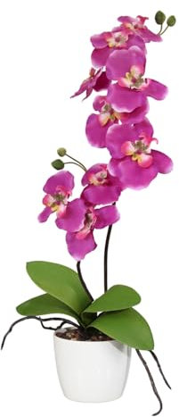 CREATIV green künstliche Orchidee 60cm im Topf 11 cm in pink I künstliche Schmetterlingsorchidee wie echt mit 9 Blüten & 2 Stiele im weißen Keramiktopf I Pflegeleicht & täuschend echt
