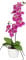 CREATIV green künstliche Orchidee 60cm im Topf 11 cm in pink I künstliche Schmetterlingsorchidee wie echt mit 9 Blüten & 2 Stiele im weißen Keramiktopf I Pflegeleicht & täuschend echt