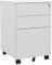Aktenschrank mit Rollen, Metallschrank, Werkstattschrank, Werkzeugschrank, Büroschrank, Lagerschrank, Garagenschrank, Stahlschrank, Hellgrau 39x45x60 cm Stahl