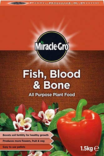 Miracle-Gro 3 x Fish, Blood & Bone All Purpose Plant Food, 1.5kg