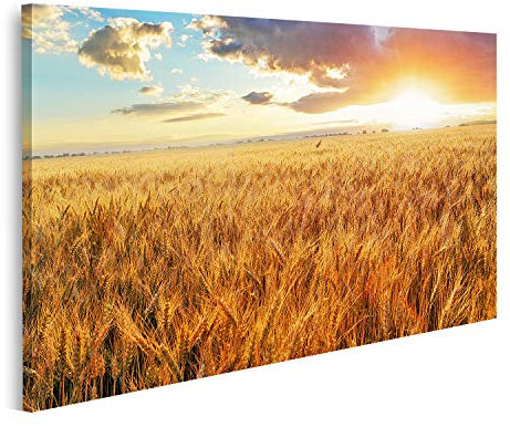 islandburner Leinwandbild Sonnenuntergang über Weizenfeld Nizza Drucke Kunst Poster Wandbild