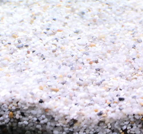 Silbermann Natural Gravel, Heller Aquarienkies, 2-4ml Körnung, 5kg