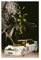 BSapp Travis Scott Kaktus Jack Jackboys Poster auf Leinwand Poster Schlafzimmer Dekor Sportlandschaft Büro Zimmer Dekor Geschenk 40 x 60 cm