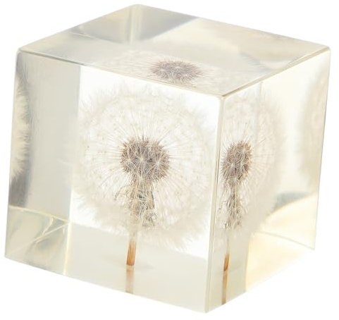 Cabilock Pusteblumenwürfel Dekoration Resin Kristallkugel Mit Getrocknetem Löwenzahn Kreative Tischdeko Für Home Office Geschenk Langlebiges Desktop Ornament