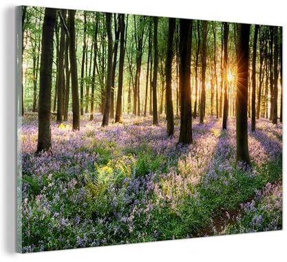 MuchoWow© Quadro Stanza Notte Immagini Soggiorno Decorazione Pareti Moderni | 60x40 cm - Su Vetro Stampe Fotografie Con Cornice Poster Arredo Casa Foresta - Fiori - Lavanda - Sole - Viola - Natura