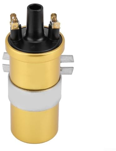 Zündspule Für Klassikfahrzeuge Ersatz Für DLB105 ACU105 Hohe Ausgangsleistung Langlebig Robust Effizienter Kraftstoffverbrauch Gold 16x12x9cm Einfache Installation Oldtimer