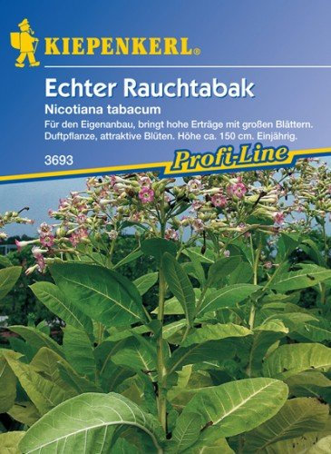 Echter Rauchtabak Nicotiana tabacum