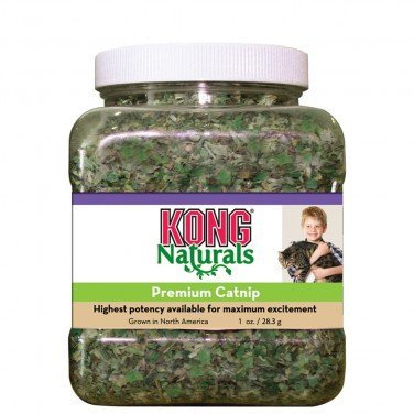 Kong Catnip Premium 1oz - Single