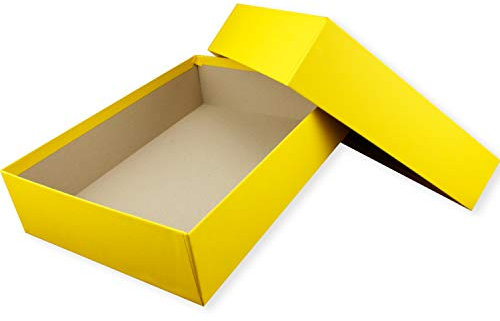 NEUSER PAPIER Hochwertige Aufbewahrungs- und Geschenkboxen - 10 Stück - DIN A4 - Honiggelb (Gelb) bezogen - 302 x 213 x 70 mm