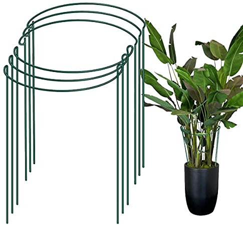 AKOFIC 6 Stück Metall Pflanzenstütze, Halbrund Metall Garten Pflanzenhalter, Grün Staudenhalter Blumenstütze Rankhilfe Stützring für Pflanzen Rose Blume Tomaten Pfingstrose Garten