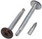 SKIR'CO (40 Stück) Lackierte selbstbohrende Schrauben 4,2 x 40 mm, Blechschraube, PH modifizierter Flachrundkopf (Schokoladen Braun RAL 8017)